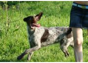 ������ "Chaisy"