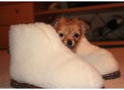 ������ "��� ����2"