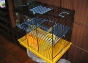 ������ "�������"