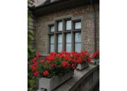 ������ "�����"