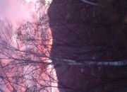 ������ "�������"