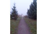 ������ "�����"