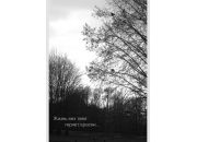 ������ "pics"