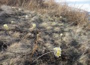 ������ "������ - ����� ���������!"