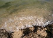 ������ "�������"