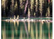  "Yoho National Park"