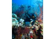 ������ "�������-������ �� ������ �������� ����. ������ 2009. "