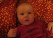 ������ "������"