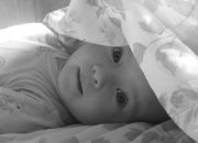 ������ "�������� ����"