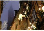 ������ "Noel 2009"