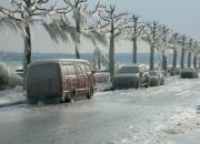 ������ "�����"