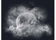 ������ "�������"