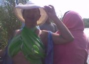 ������ "������ �.�"