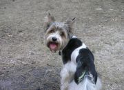 ������ "����� ����"