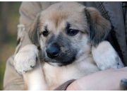 ������ "����� � ������� ����!"