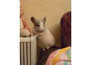 ������ "��� ������"