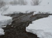 ������ "������"