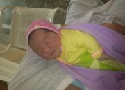 ������ "����"