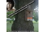 ������ "����"