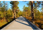 ������ "Falufj�llets National Park"