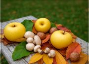 ������ "���������"