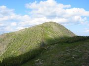 IMG 1521