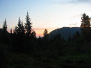 IMG 1531