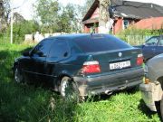 IMG 0687