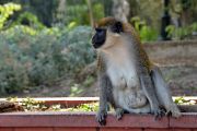 DSC 7022 NX-lzCw