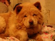 DSC00051