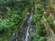 DSCF2854