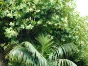 ���� � ��������:)