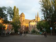 ������ ����