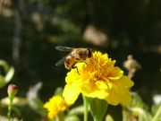 DSC00764