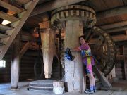 IMG 4529