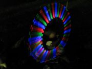 IMG 4131