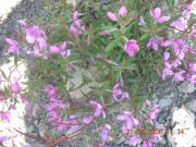 DSCN1057