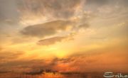 vanill sky