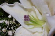 DSC 0049