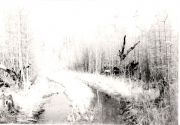84 (2)