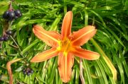 DSC00635