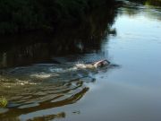 ����������� 091