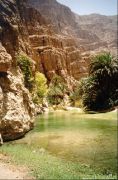  Wadi Shaab