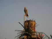 Picture 102