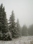 foggy view