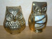 ���� (������, �����)