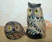 ���� (�����, �������)