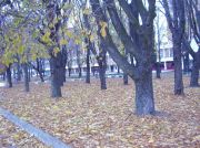  2007 