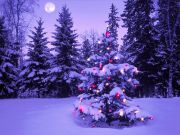 wallpapersplace 1143