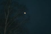IMG 4856